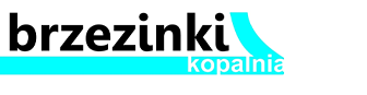 Kopalnia Brzezinki - logo 
